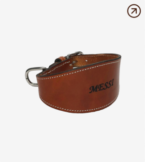Collar Galgo