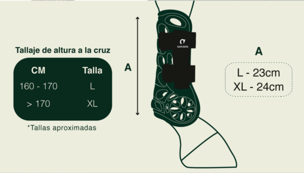 Protectores delanteros -Air- - Imagen 2