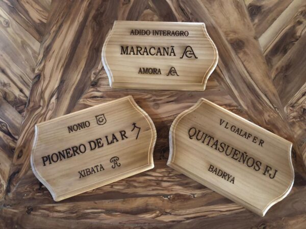 Tabla para box - Imagen 2